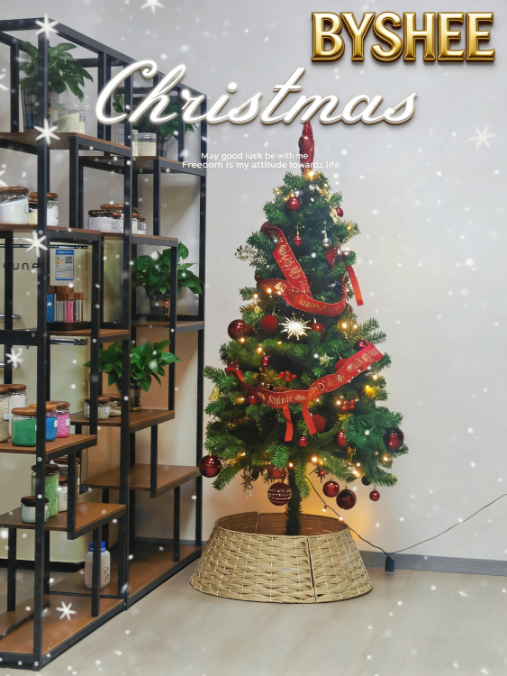 Joyful Songs Gather, Christmas We Celebrate Together